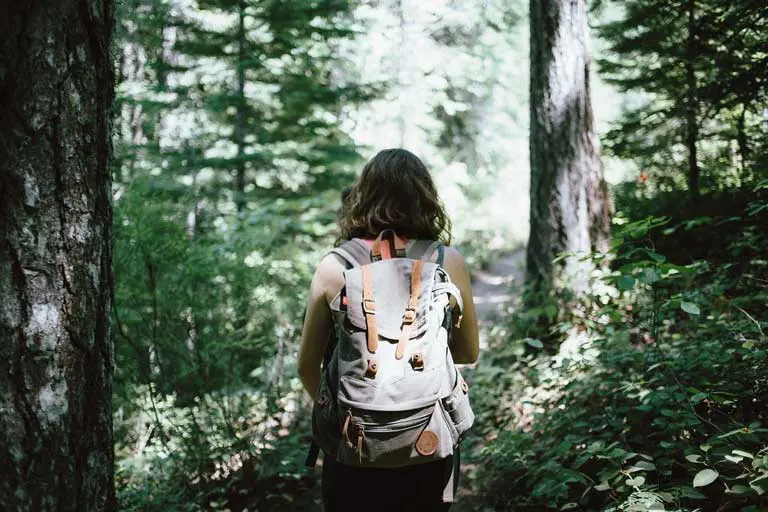 Woman trekking in the forest