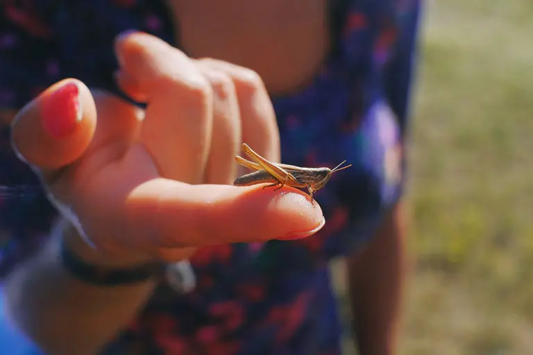 Young woman delicately holding a small cricket on her fingertip.